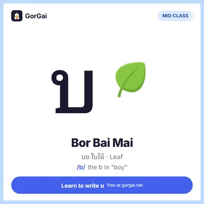 บ Bor Bai Mai (Leaf): Thai consonant flashcard, mid class, sound /b/