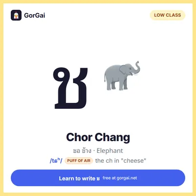 ช Chor Chang (Elephant): Thai consonant flashcard, low class, sound /tɕʰ/