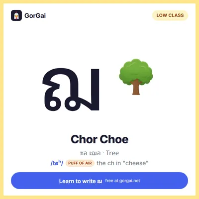 ฌ Chor Choe (Tree): Thai consonant flashcard, low class, sound /tɕʰ/