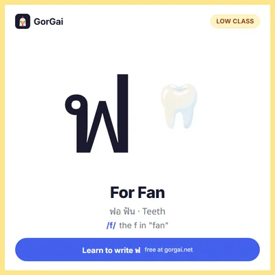ฟ For Fan (Teeth): Thai consonant flashcard, low class, sound /f/