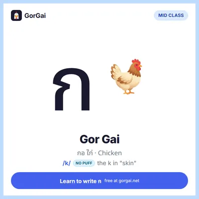 ก Gor Gai (Chicken): Thai consonant flashcard, mid class, sound /k/