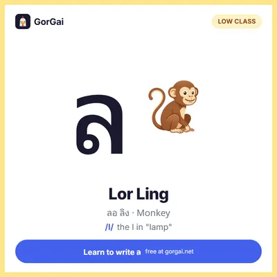 ล Lor Ling (Monkey): Thai consonant flashcard, low class, sound /l/