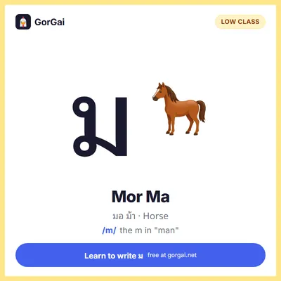 ม Mor Ma (Horse): Thai consonant flashcard, low class, sound /m/