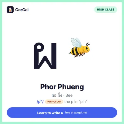 ผ Phor Phueng (Bee): Thai consonant flashcard, high class, sound /pʰ/