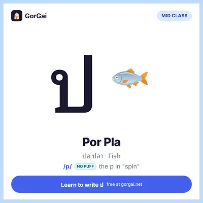 ป Por Pla (Fish): Thai consonant flashcard, mid class, sound /p/
