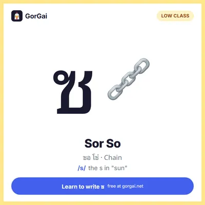 ซ Sor So (Chain): Thai consonant flashcard, low class, sound /s/