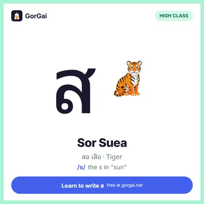 ส Sor Suea (Tiger): Thai consonant flashcard, high class, sound /s/