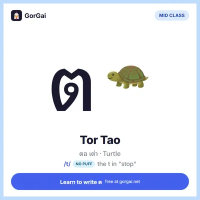 ต Tor Tao (Turtle): Thai consonant flashcard, mid class, sound /t/